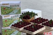 事业什么高速赋能产业升级：一条“杨梅路”的致富密码
