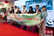 事业什么中国彩绘熊猫艺术国际巡展东京站开幕