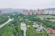 事业什么西宁市举办六五环境日主题宣传活动